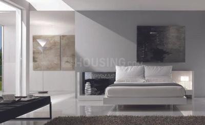 Project Images