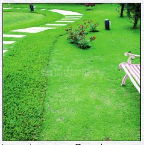 Project Image of 570.06 - 867.25 Sq.ft 2 BHK Apartment for buy in Jaydee Shree Hari 142 Phase 2