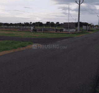 Project Images