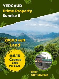 Project Image of 16000.0 - 28000.0 Sq.ft Residential Plot Plot for buy in Sunrise Yercaud Prime Plot