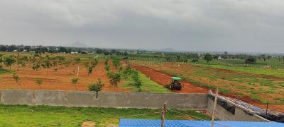 Project Image of 2178.0 - 5445.0 Sq.ft Residential Plot Plot for buy in Maa Richland Farms