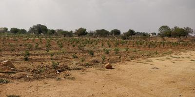 Siva Bharathi Lake View Gardens Elevation 1