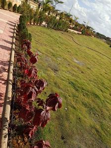 Project Image of 1350.0 - 3600.0 Sq.ft Residential Plot Plot for buy in Advaitha Enclave