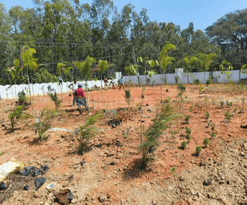 Project Image of 1127.11 - 2241.69 Sq.ft Residential Plot Plot for buy in Falcon Sun And Serenity
