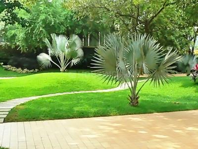 Project Image of 392.0 - 507.0 Sq.ft 1 BHK Apartment for buy in Mehta Amrut Pearl Building No 2