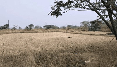 Project Image of 1000.0 - 5000.0 Sq.ft Residential Plot Plot for buy in Media Solutions in Vindhane
