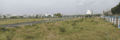 Project Images