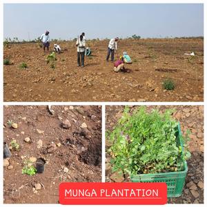 Project Image of 5445.0 - 9000.0 Sq.ft Agricultural Land Agricultural Land for buy in Harivillu Wild Wood
