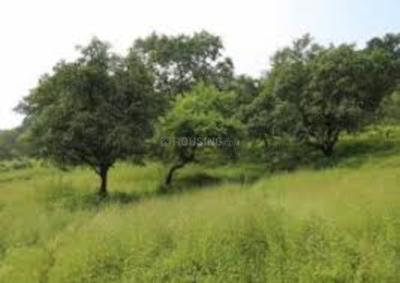 Holistic Evernest Prime Lower Parel Plot 1