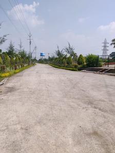Project Images