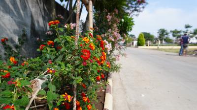 Project Image of 640.0 - 900.0 Sq.ft 3 BHK Villa for buy in Soumya Greenville Phase 1