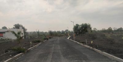Project Images