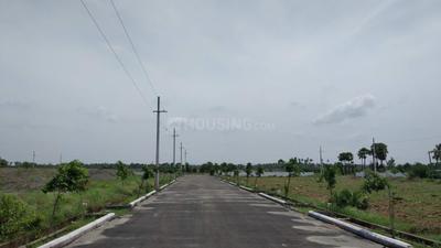 Project Image of 1503.0 - 3150.0 Sq.ft Residential Plot Plot for buy in Harmony Town East