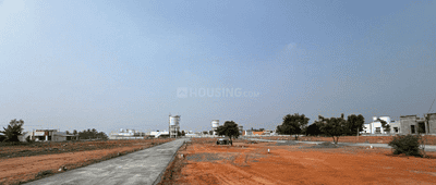 Project Images