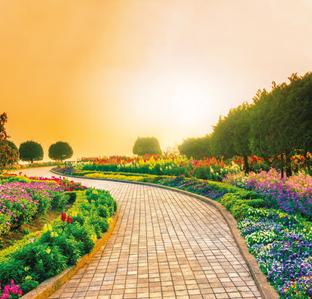Project Image of 1080.0 - 1611.0 Sq.ft Residential Plot Plot for buy in JMS The Nation
