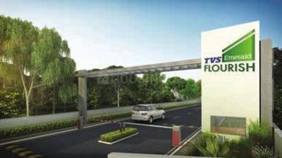 Project Image of 522.0 - 597.0 Sq.ft 2 BHK Apartment for buy in TVS Flourish Block A