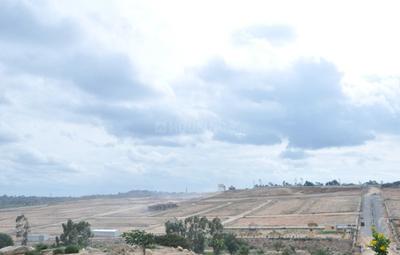 Project Image of 1200.0 - 5000.0 Sq.ft Residential Plot Plot for buy in AVS De Flora