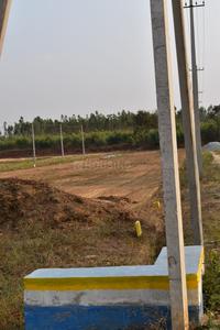 Project Image of 2250.0 - 5500.0 Sq.ft Residential Plot Plot for buy in Nesara Garden County Farms