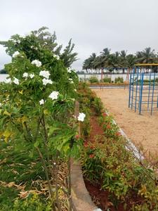Project Image of 436.0 - 3484.0 Sq.ft Residential Plot Plot for buy in Fairland
