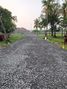 Gallery Cover Pic of Royal Enclave