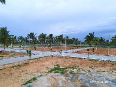 Project Image of 1200.0 - 1500.0 Sq.ft Residential Plot Plot for buy in Eden Gardenia