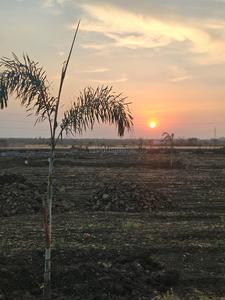 Project Image of 2872.0 - 6856.0 Sq.ft Residential Plot Plot for buy in La Vallee Farms