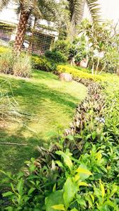 Project Image of 373.83 - 616.66 Sq.ft 1 BHK Apartment for buy in Grow Riverside Greens