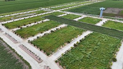 Project Image of 945.0 - 2880.0 Sq.ft Residential Plot Plot for buy in Akshita Inspiring Edge
