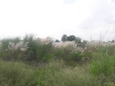 Project Image of 450.0 - 1800.0 Sq.ft Residential Plot Plot for buy in Vardah Aashiyana Enclave