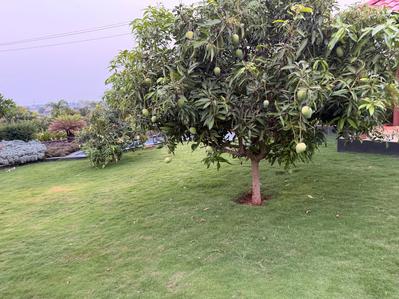 Project Image of 841.0 - 1500.0 Sq.ft 2 BHK Villa for buy in Silver Sands GR8 Planet Villa Project