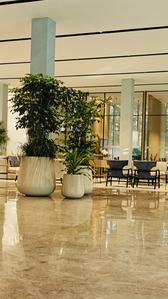 Project Image of 1475.0 - 1900.0 Sq.ft 3 BHK Apartment for buy in Oberoi OGC Thane Phase 1