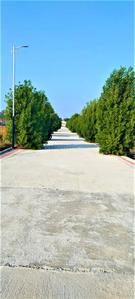 Project Image of 1201.0 - 3182.0 Sq.ft Residential Plot Plot for buy in Bhumi Green Hills