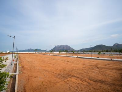 Project Image of 673.0 - 3831.0 Sq.ft Residential Plot Plot for buy in Temple View