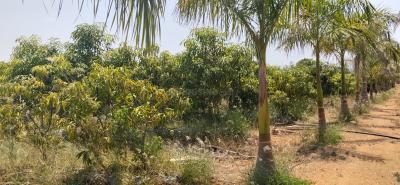 Project Image of 2178.0 - 5445.0 Sq.ft Residential Plot Plot for buy in City Anuttara Farms