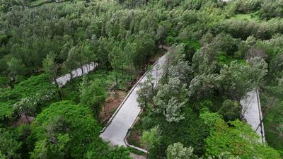 Project Image of 495.0 - 8740.0 Sq.ft Residential Plot Plot for buy in Shri Janani Cloude County
