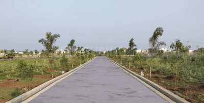 Project Image of 436.0 - 2547.0 Sq.ft Residential Plot Plot for buy in Kodies Paradise Avenue