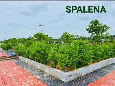 Project Image of 1503.0 - 2502.0 Sq.ft Residential Plot Plot for buy in Spalena Wavon