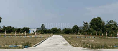 Project Images