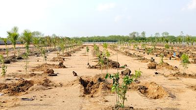 Project Image of 1089.0 - 2178.0 Sq.ft Residential Plot Plot for buy in Adrustar Mahalakshmi S Nandanam
