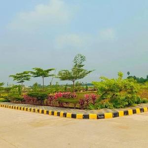 Project Image of 1503.0 - 4104.0 Sq.ft Residential Plot Plot for buy in Surya Icon