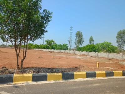 Project Image of 1323.0 - 4401.0 Sq.ft Residential Plot Plot for buy in Cosmo Celesse 