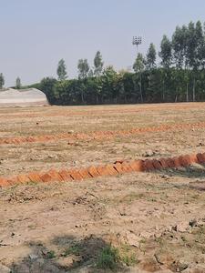 King Way Paradise Plot 1