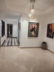 Project Images