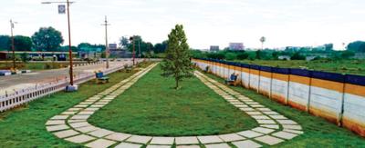 Royal Star Phase III Landscape Garden and Tree Planting 1
