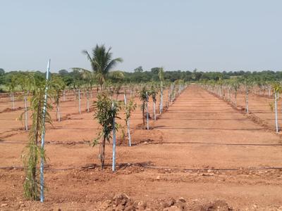 Project Image of 2178.0 - 7623.0 Sq.ft Residential Plot Plot for buy in Silpa Vanadhara
