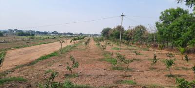 Project Image of 2178.0 - 43560.0 Sq.ft Residential Plot Plot for buy in Eagle Golden Valley