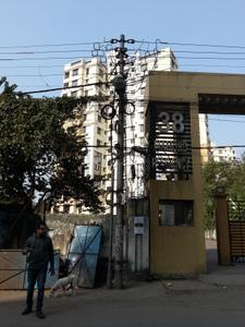 Project Image of 0.0 - 1056.0 Sq.ft 3 BHK Apartment for buy in Diamond Residency