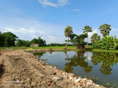 Project Image of 720.0 - 2880.0 Sq.ft Residential Plot Plot for buy in Natures Paradise