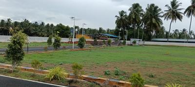 Project Image of 654.0 - 3007.0 Sq.ft Residential Plot Plot for buy in Dream Emerald Avenue