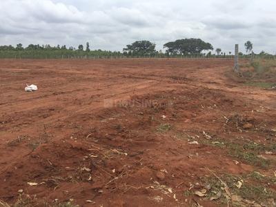 Project Image of 600.0 - 4000.0 Sq.ft Residential Plot Plot for buy in M and M Krishna Greens Eastwind